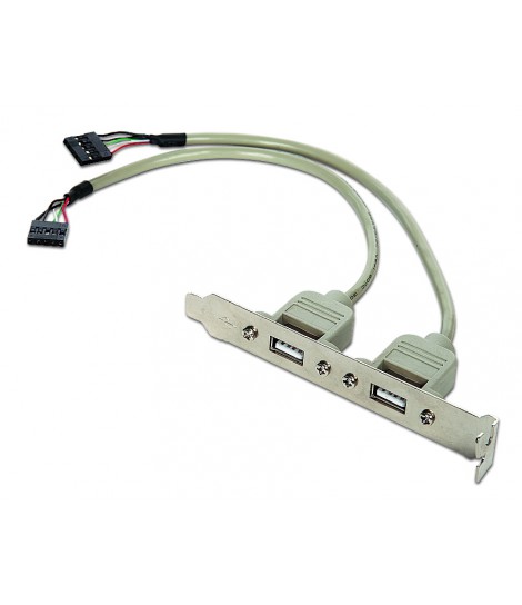 Gniazdo na śledziu Gembird CC-USB-RECEPTACLE do obudowy (2x USB 2.0)