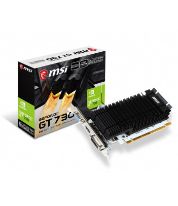 MSI GeForce GT 730 2GB (LP)