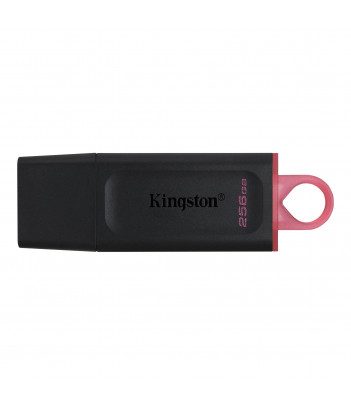 Pamięć USB 3.2 Gen 1 Kingston Data Traveler Exodia 256GB
