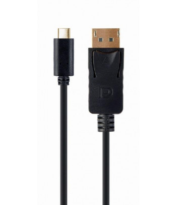 Kabel USB-C męski do DisplayPort męski (2m)